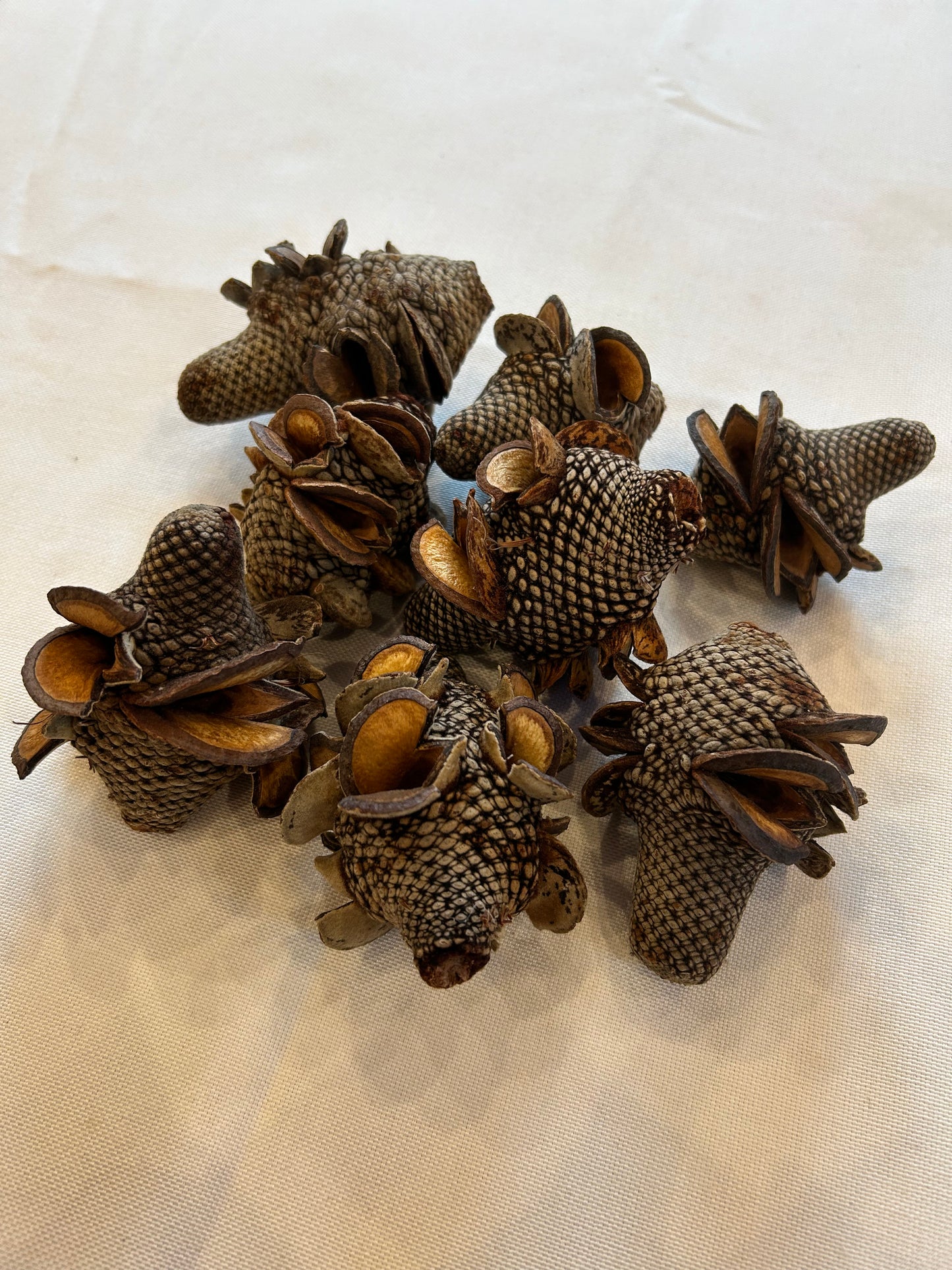 Banksia Firewood