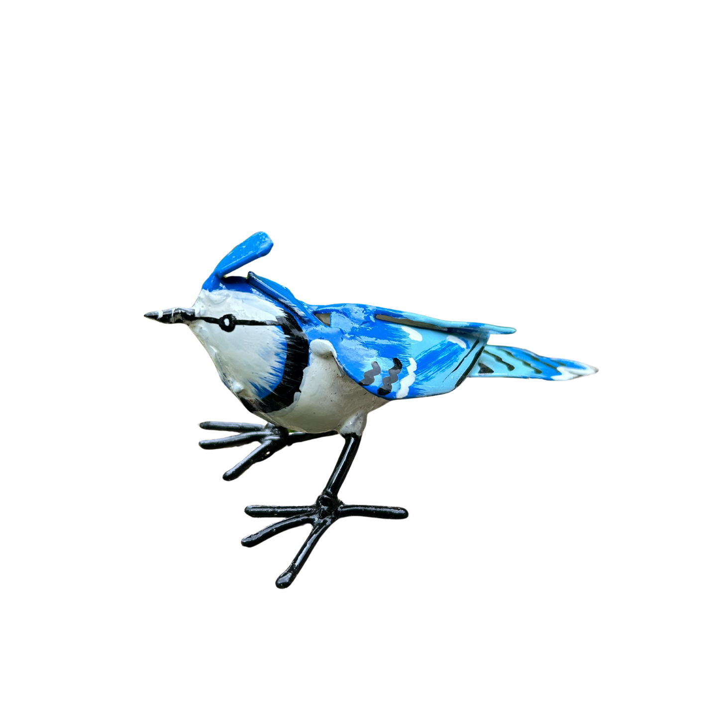Blauhäher Metall