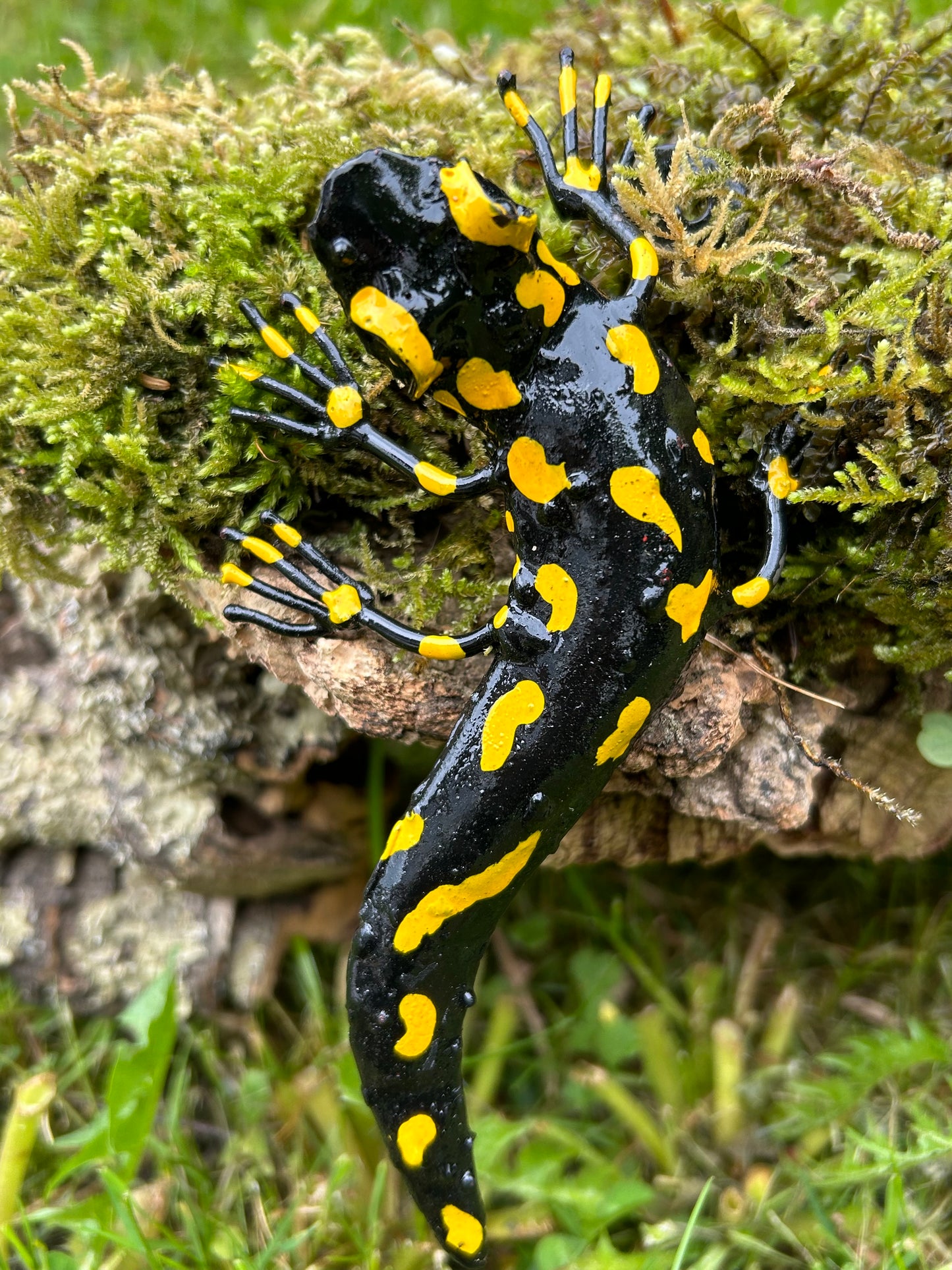 Feuersalamander Metall