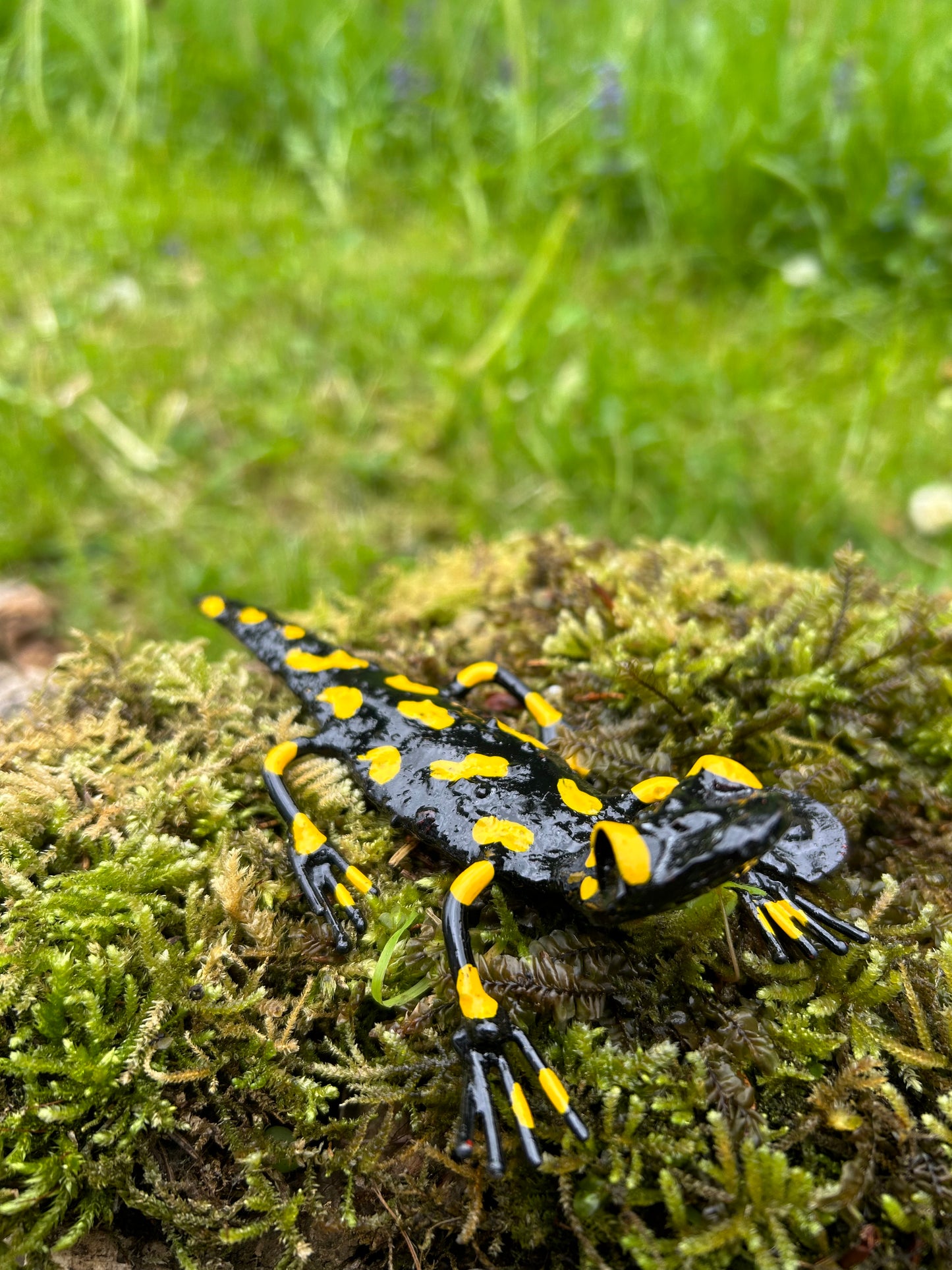 Feuersalamander Metall