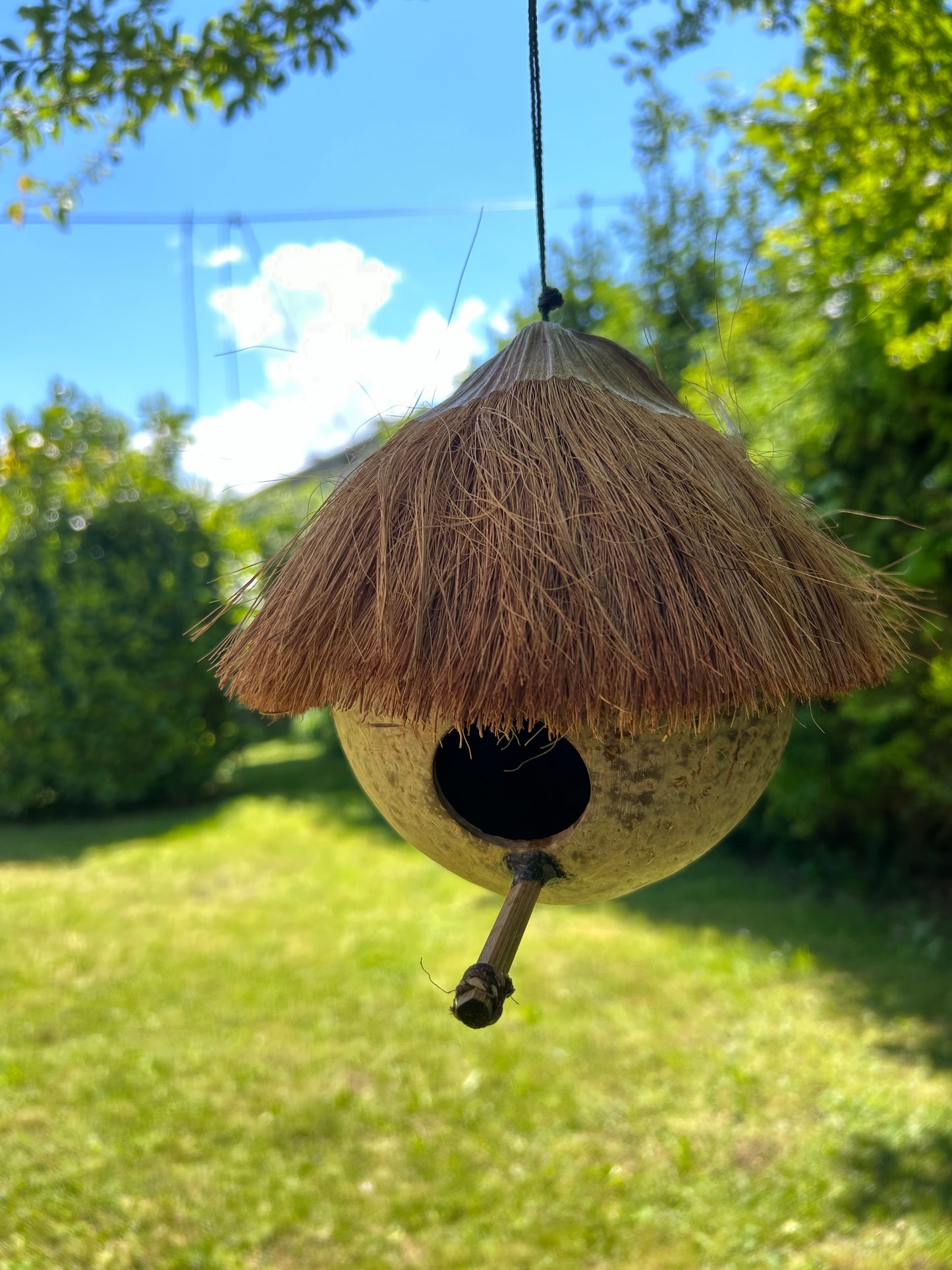 Kokosnuss Vogelhaus