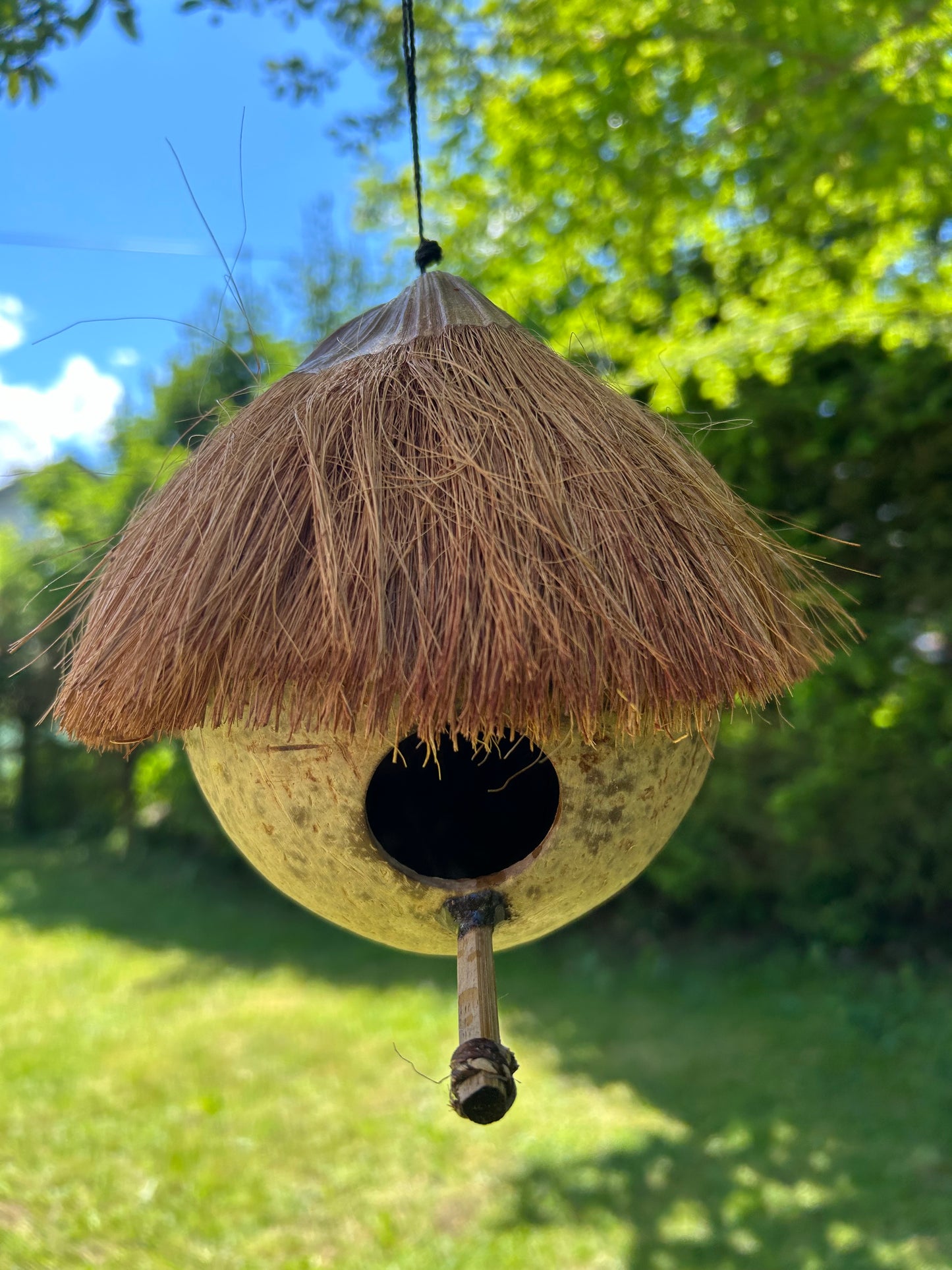 Kokosnuss Vogelhaus