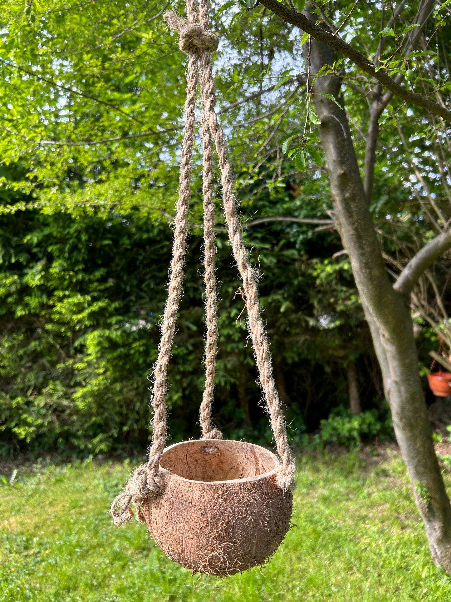 Kokosnuss Blumenampel