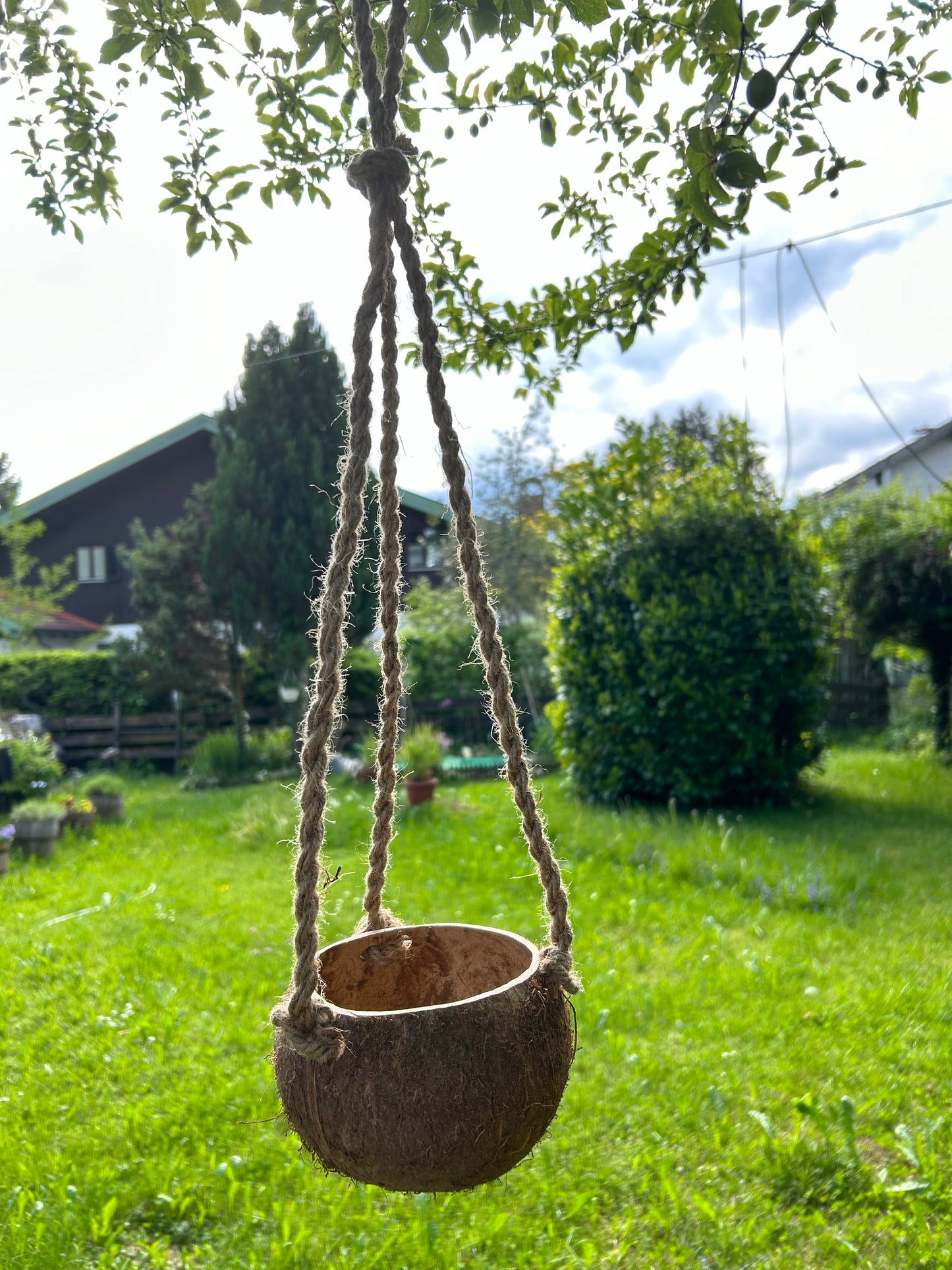 Kokosnuss Blumenampel