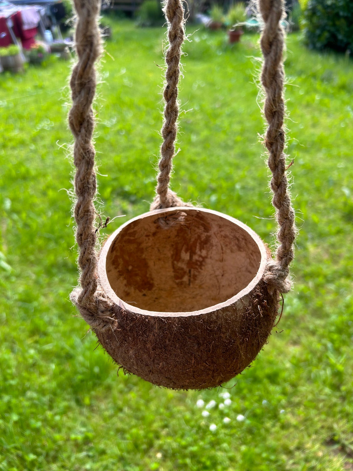 Kokosnuss Blumenampel