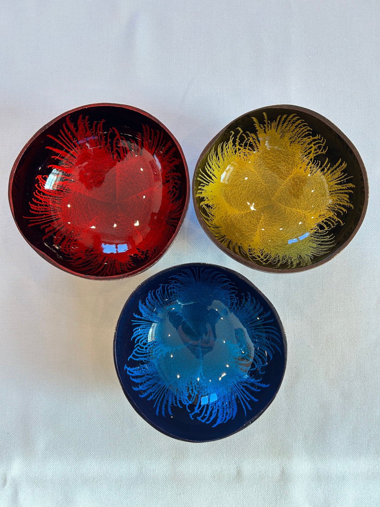 Kokosnussschale Feder blau