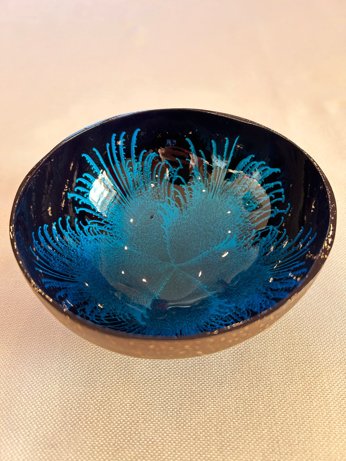 Kokosnussschale Feder blau