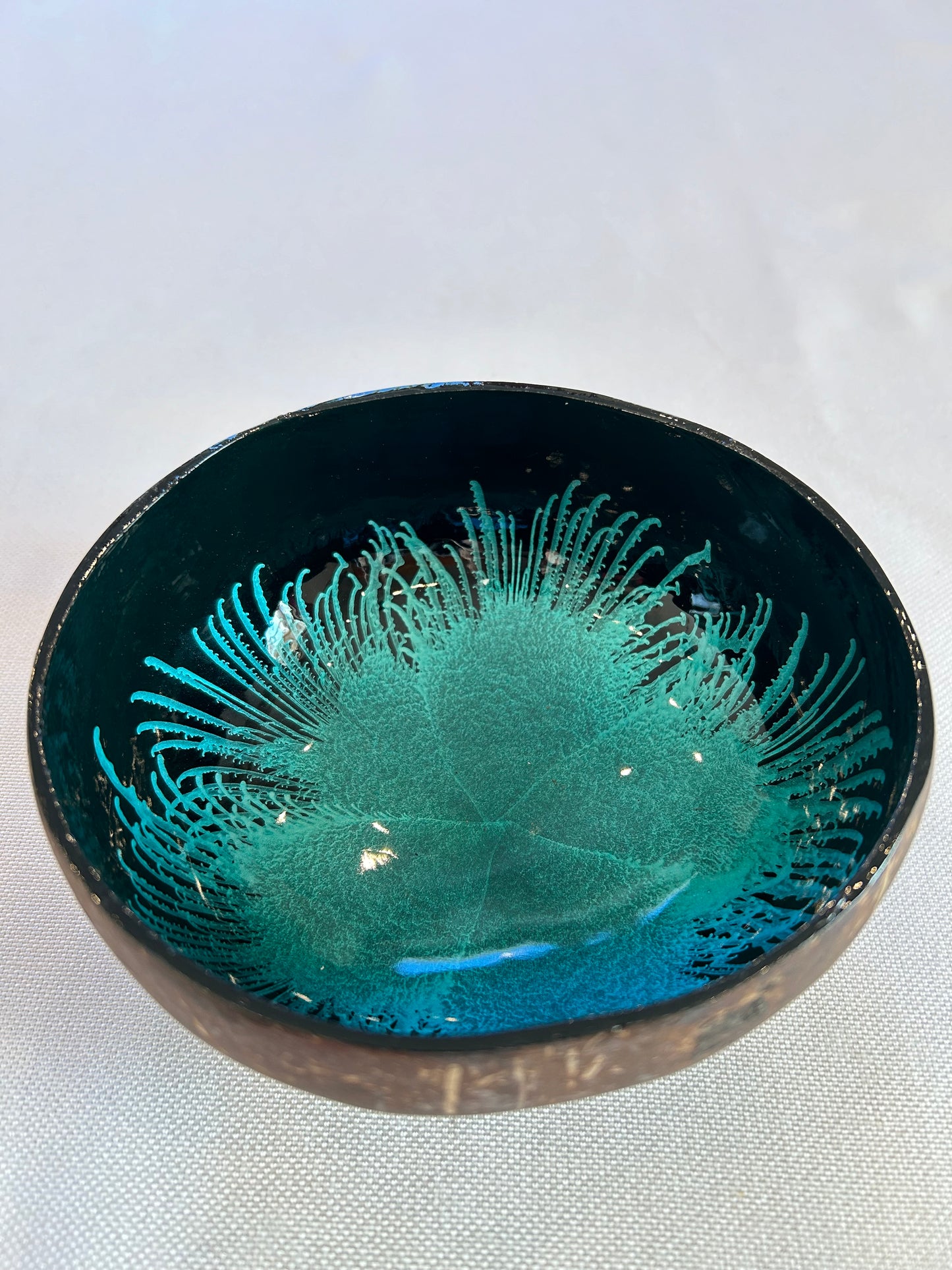 Kokosnussschale Feder hellblau