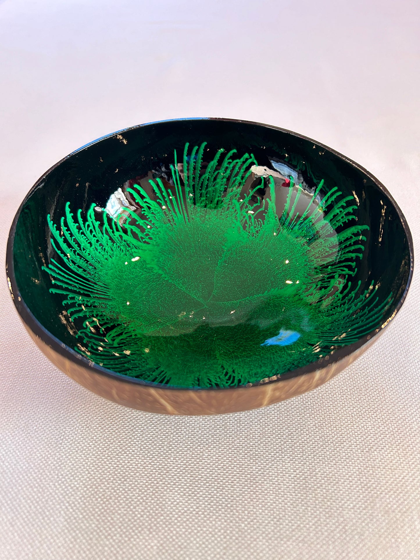 Kokosnussschale Feder grün