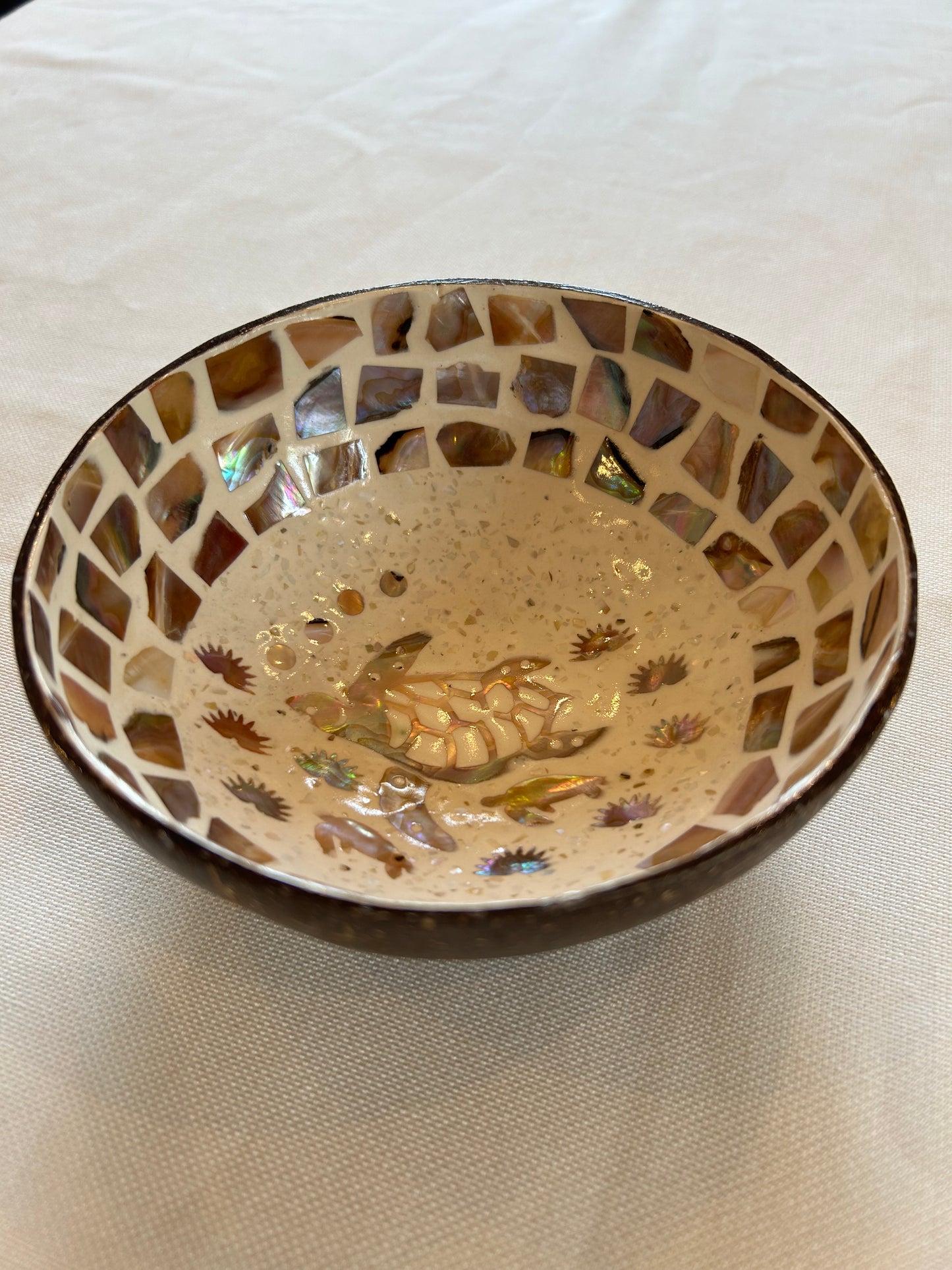 Kokosnussschale Perlmutt Schildkröte