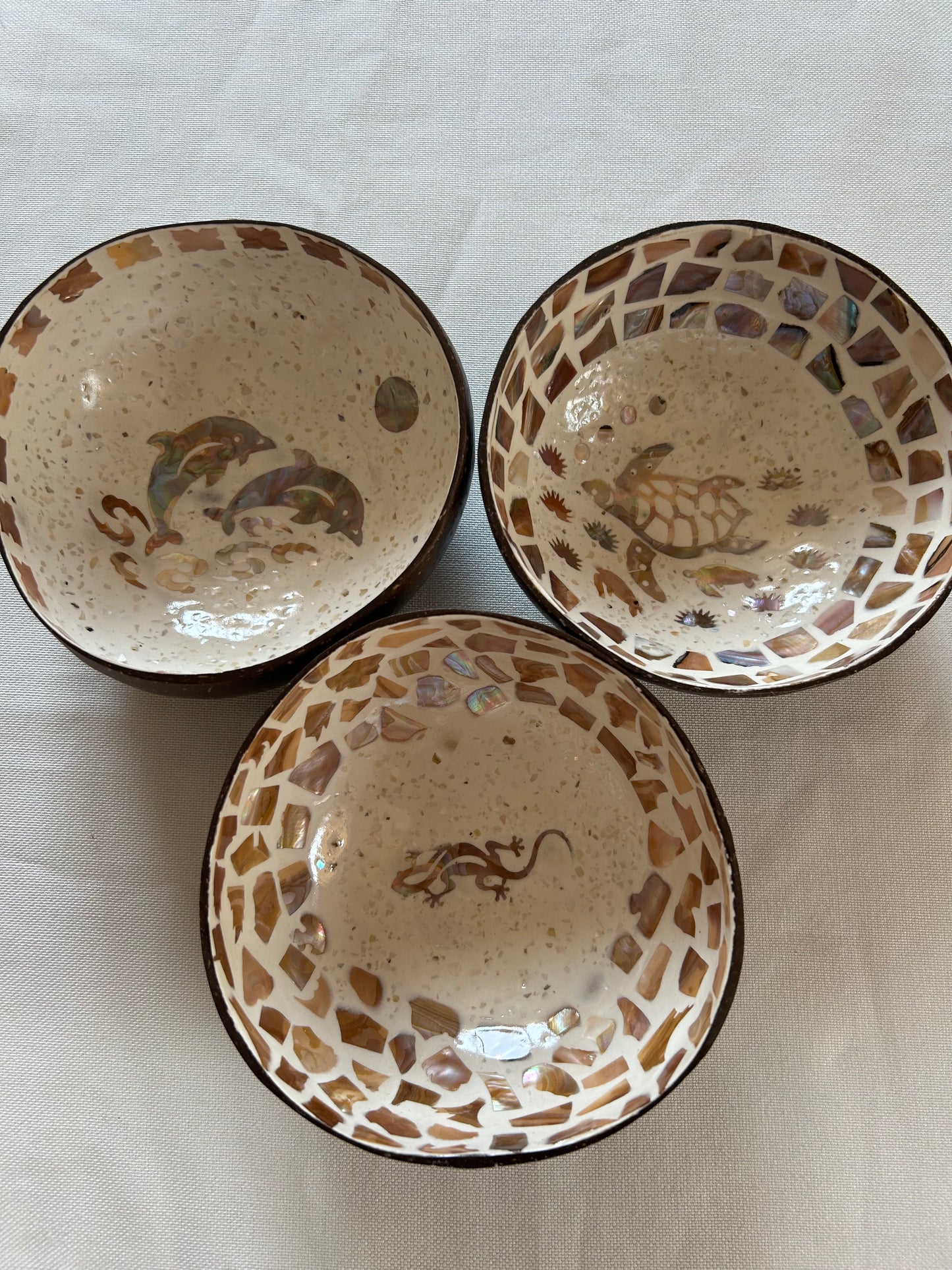 Kokosnussschale Perlmutt Gecko