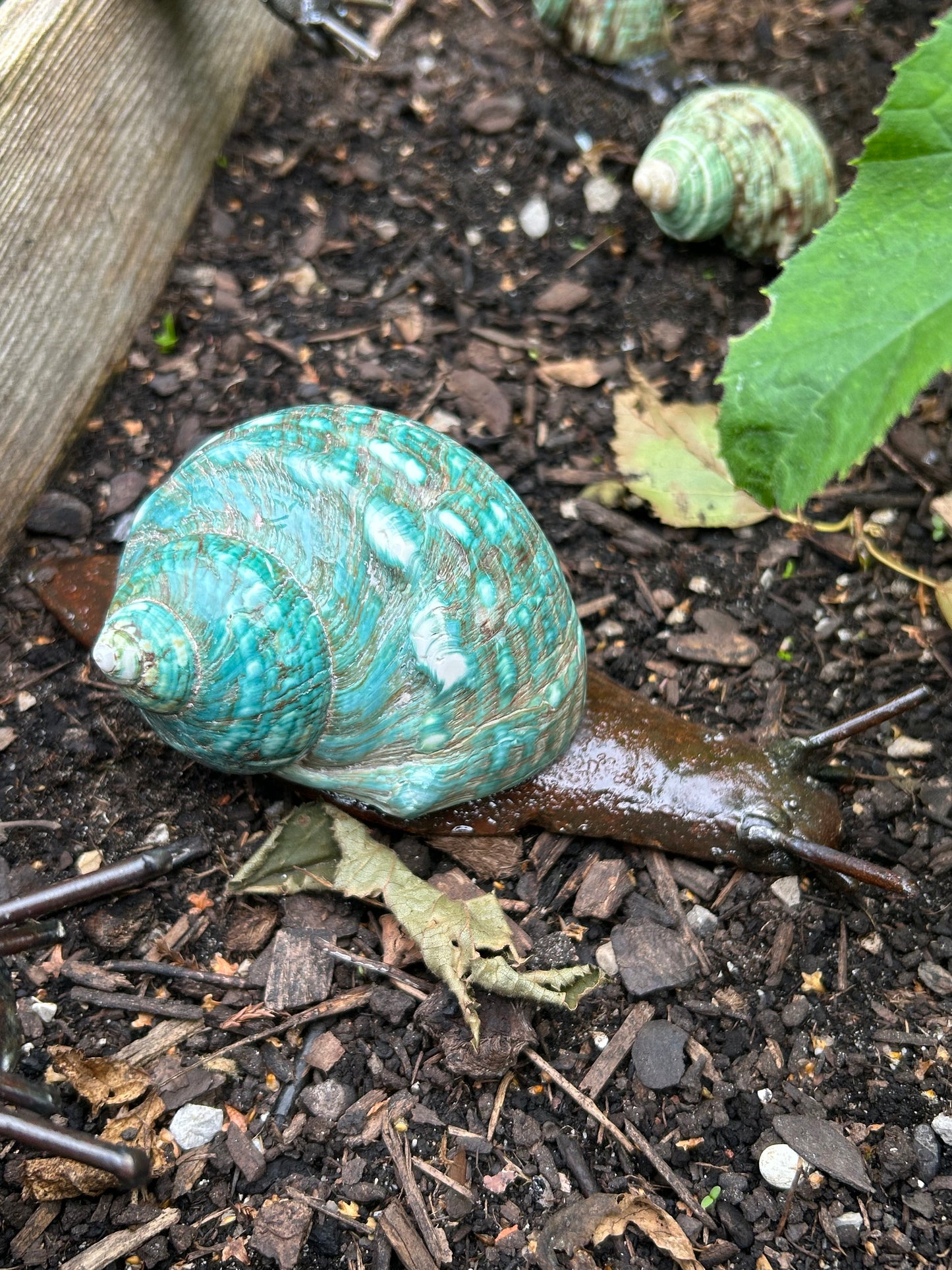 Metallschnecke Turbo Burgos