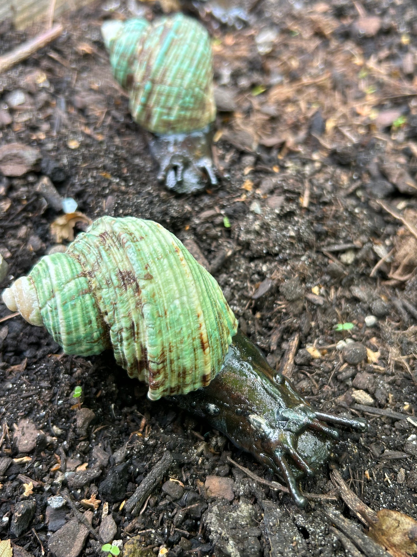 Metallschnecke Smaragd