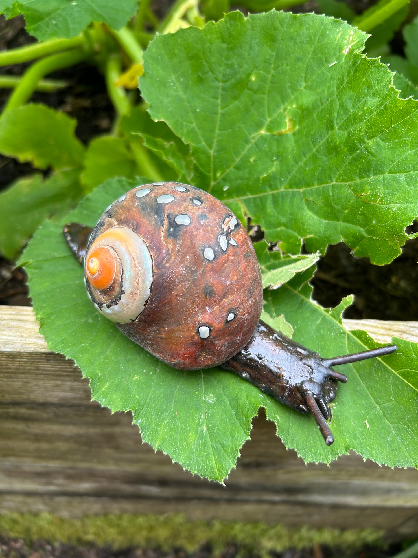 Metallschnecke Turbo Sarmaticus