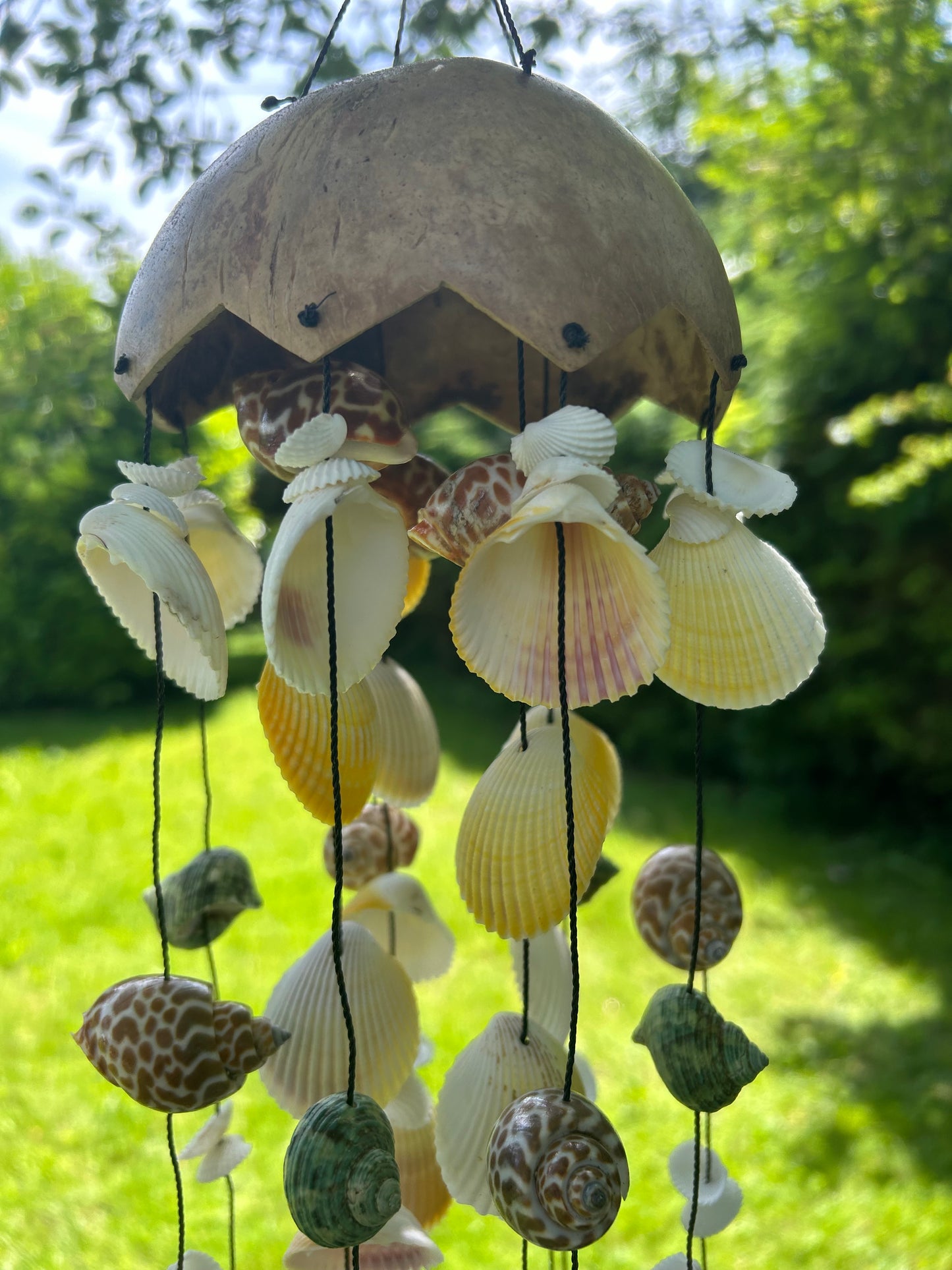 Muschel Windspiel