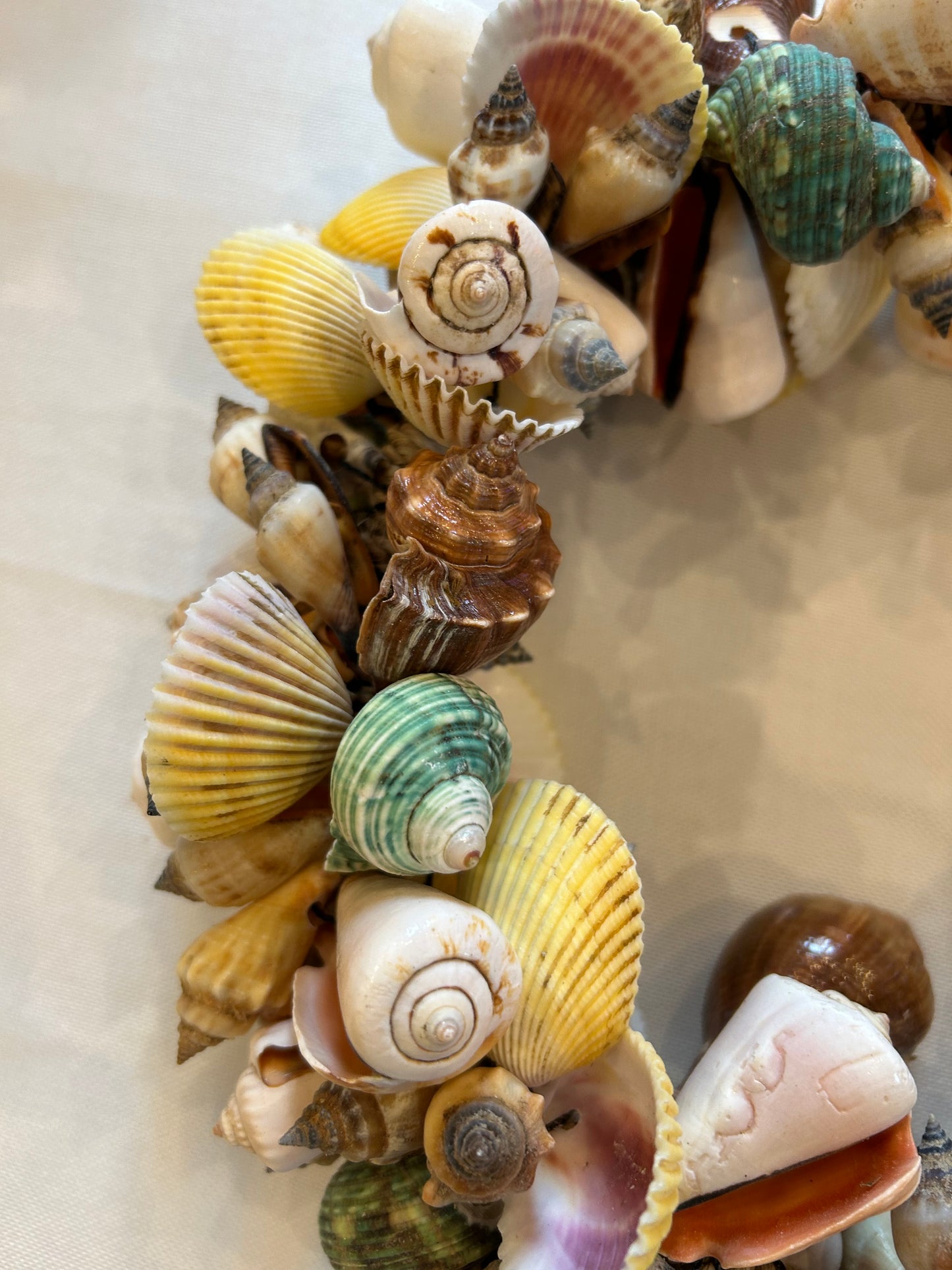 Muschelkranz