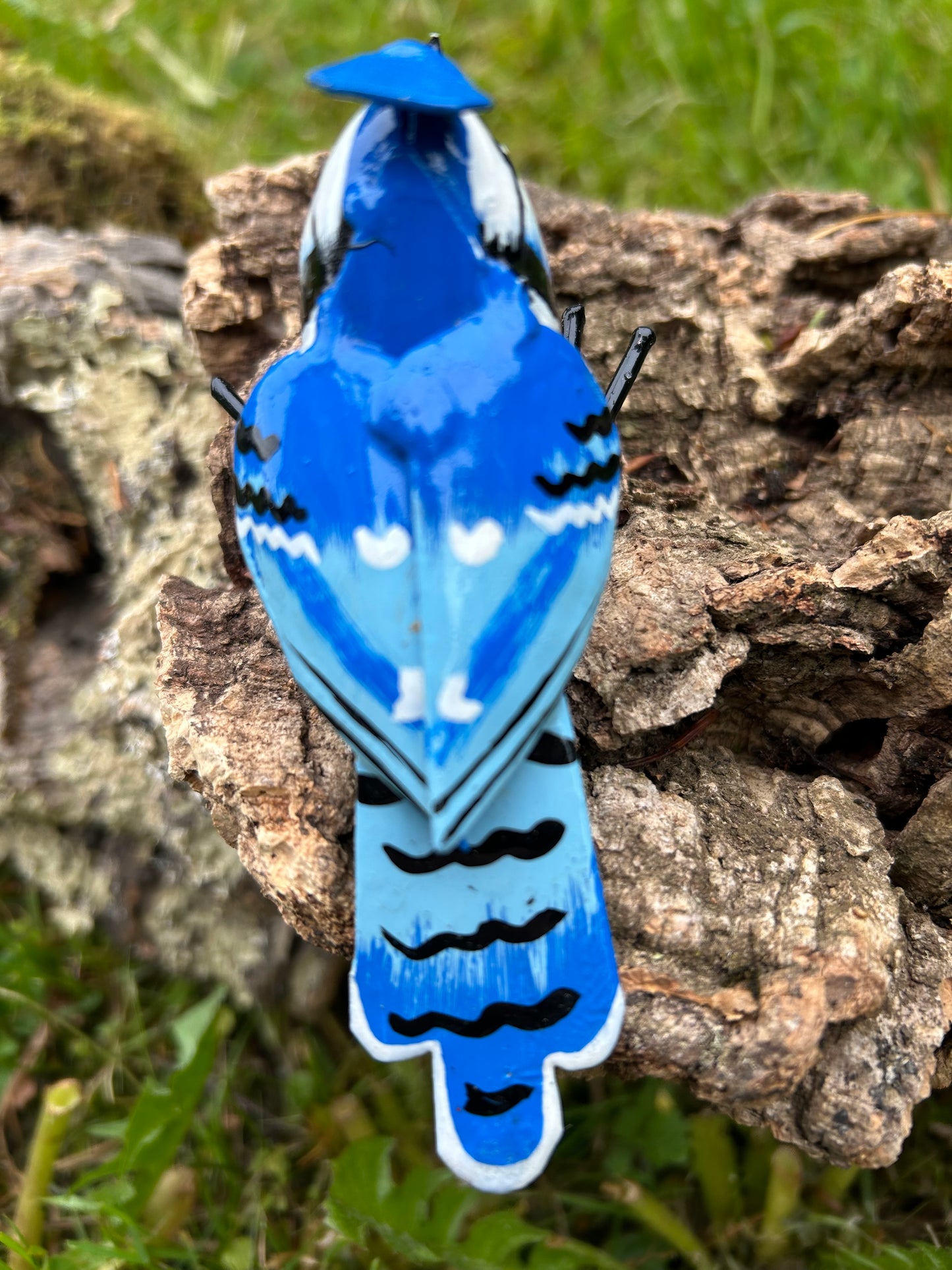 Blauhäher Metall