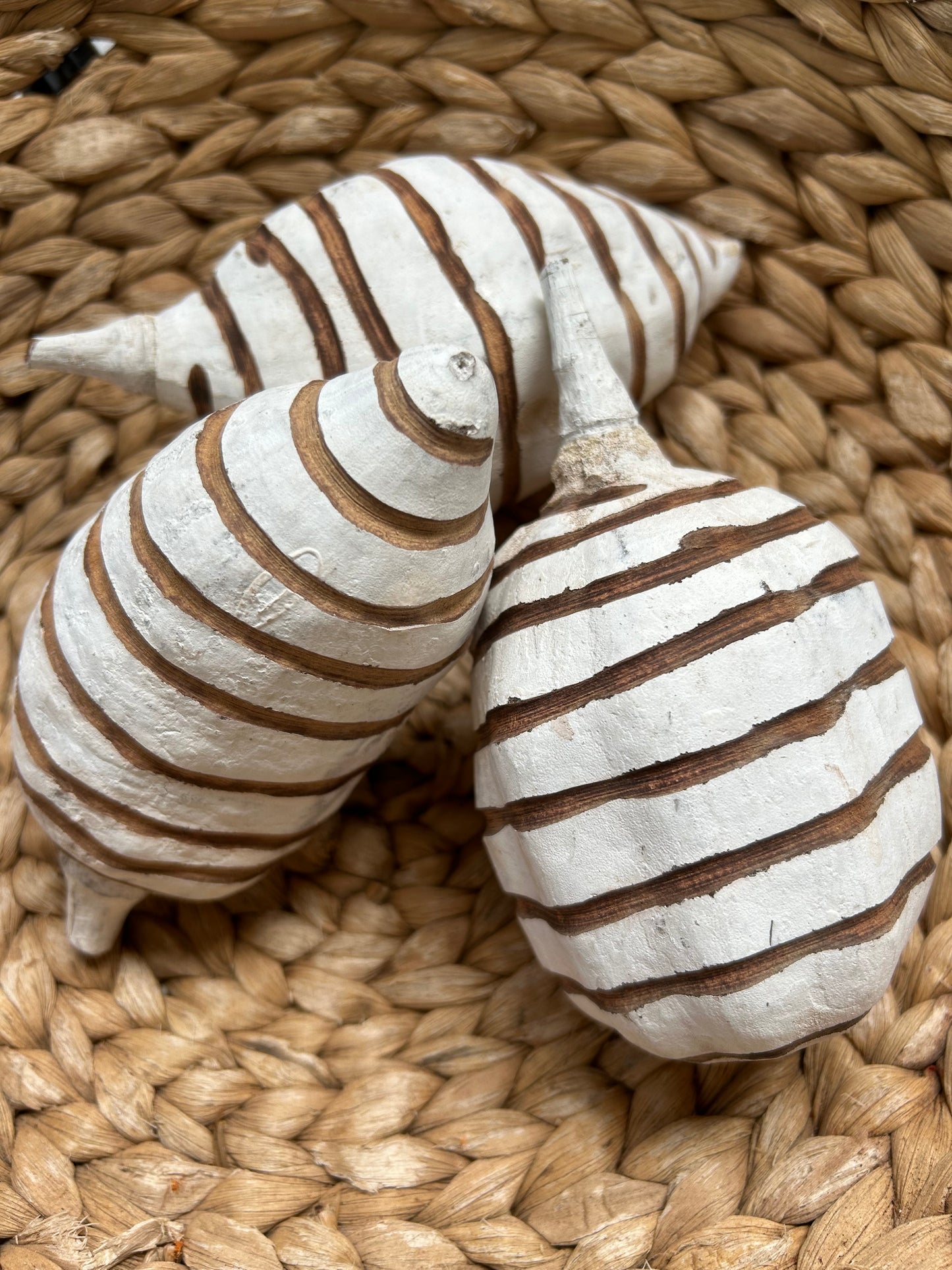 Baobab Frucht Weiß