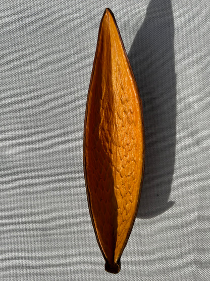 Dauschote gelb