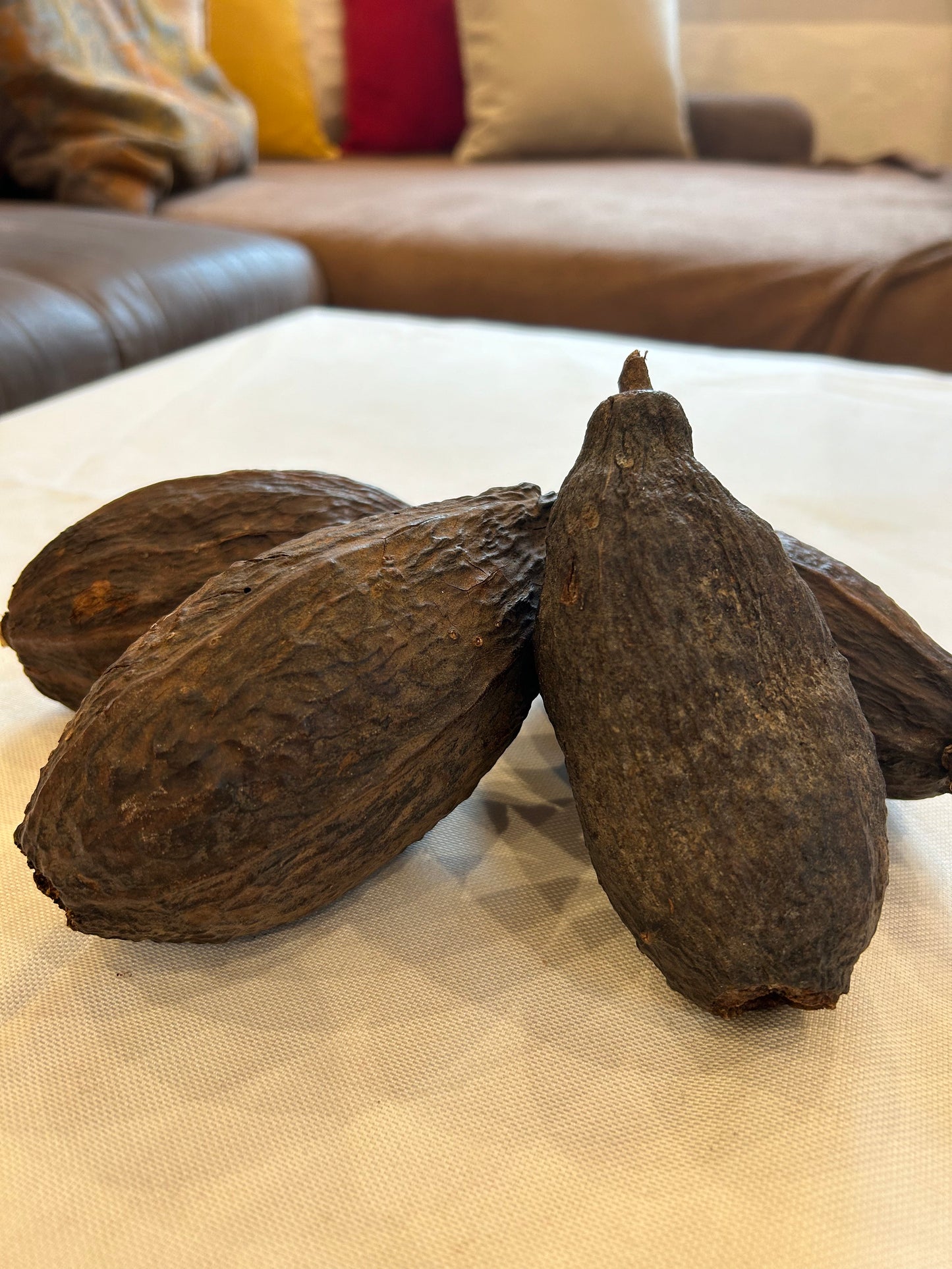 Kakaobohne