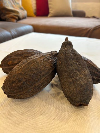 Kakaobohne