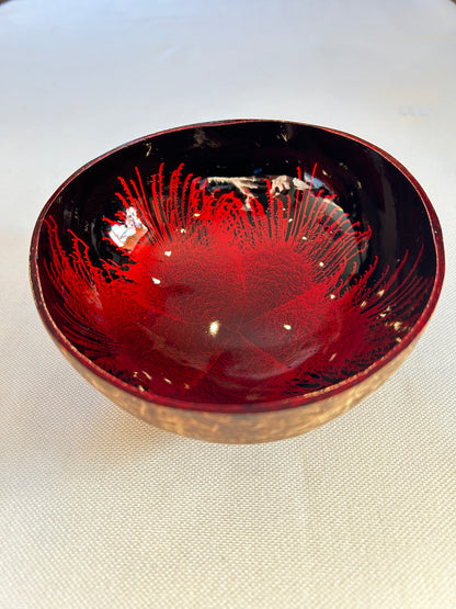 Kokosnussschale Feder rot