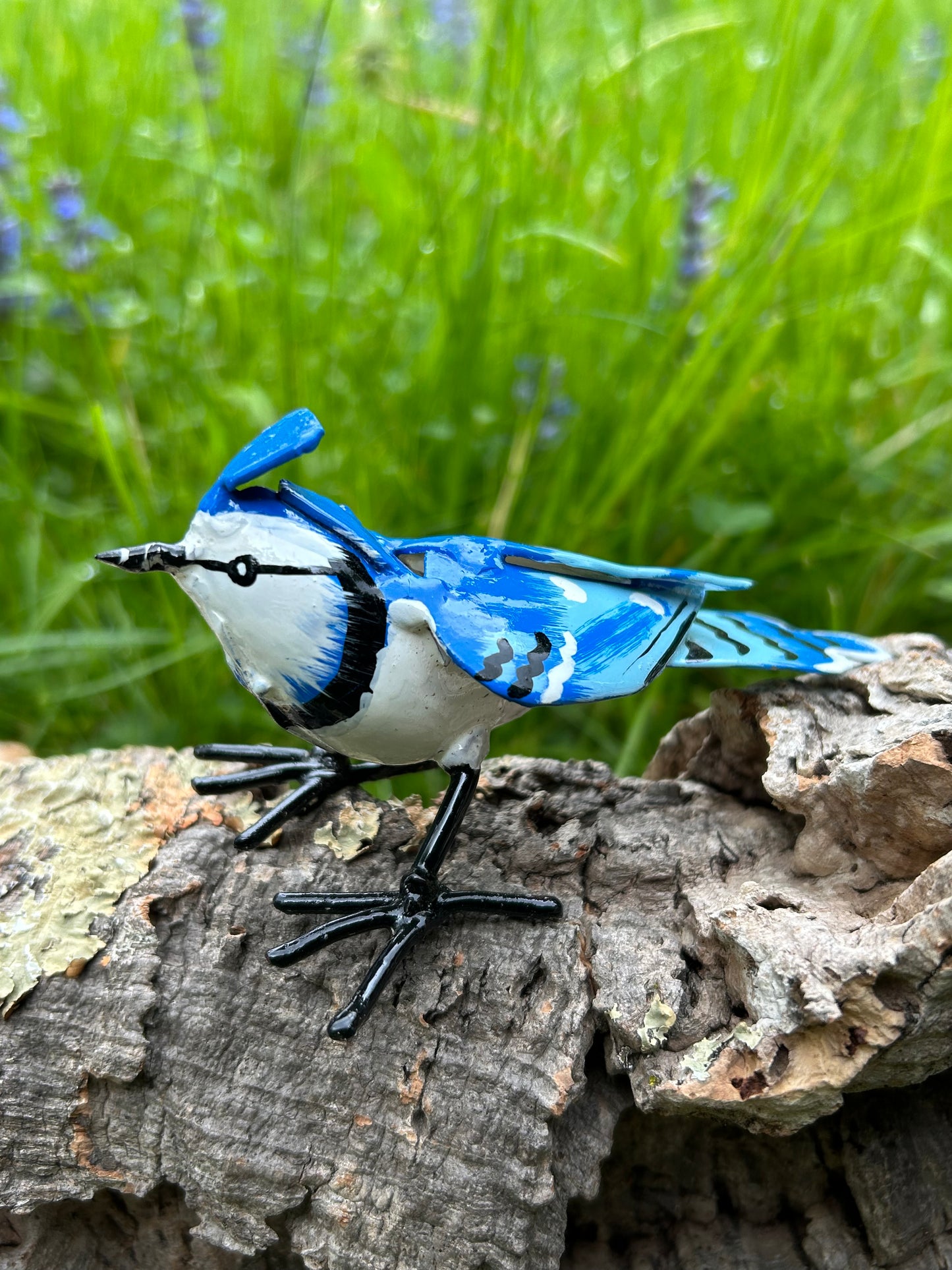 Blauhäher Metall
