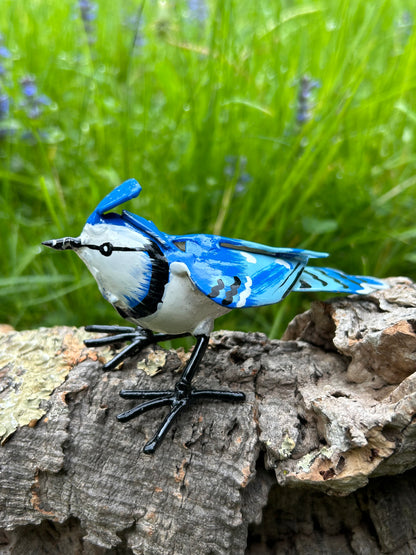 Blauhäher Metall