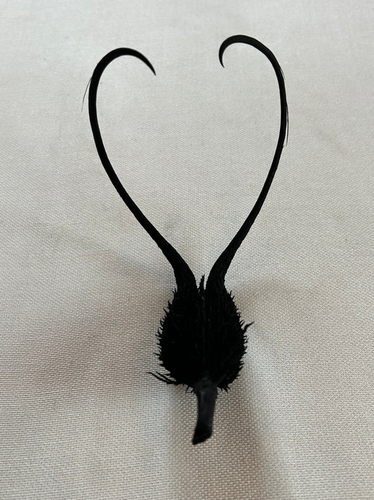 Vogelfrucht