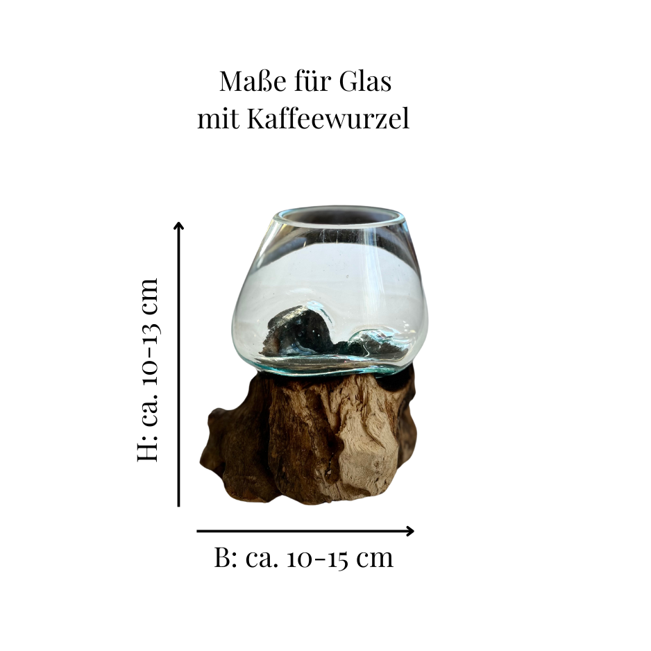 Glas auf Wurzelholz klein